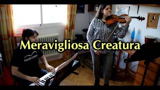 Meravigliosa Creatura  violinpianoversion meravigliosacreatura [upl. by Aihsiyt]