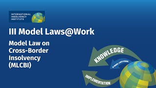 Introduction UNCITRALs Model Law on CrossBorder Insolvency Law [upl. by Atnwahsal]