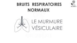 Bruits Respiratoires  Ecoutez le Murmure Vésiculaire [upl. by Thornie]