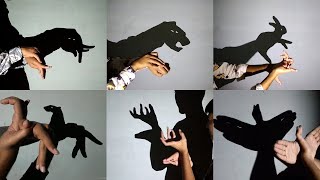 Hand Shadow Puppetry Performance [upl. by Marl]