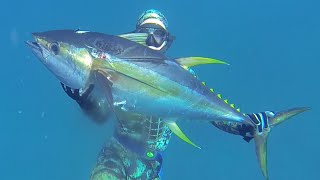 Spearfishing the Abrolhos Islands [upl. by Reivaz]