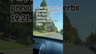 Lord’s purpose prevails music song challenge love grace repentancesalvationviralvideoprayer [upl. by Xuerd637]