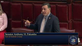 Senator Anthony Palumbo Questions Senator Krueger on LACK of BailReform in the Budget [upl. by Enaira]