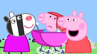 Peppa Wutz  Das Baby Schweinchen  Peppa Pig Deutsch Neue Folgen  Cartoons für Kinder [upl. by Aleras]