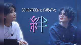 セブチロスの方へ（メンバーとカラットが歌うusagain）【SEVENTEENCALATセブチ】 [upl. by Ennaylloh]