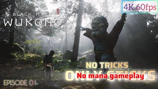 NO TRICKS ONLY STICKS  boss fights without mana skills  4K 60 fps  blackmythwukonggameplay [upl. by Ycrep]