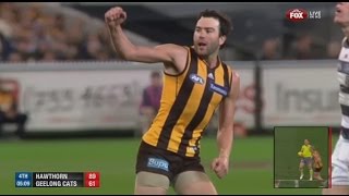 AFL 2014 2nd Qualifying Final  Hawthorn highlights vs Geelong [upl. by Notlrahc]