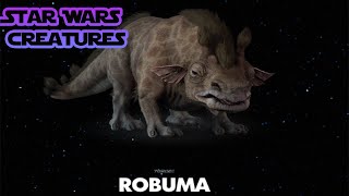 Robumas  Star Wars Creatures [upl. by Nhor59]