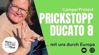 PrickStopp CamperProtect für den Ducato 8  Camper DIY  Sicherung für den Camper [upl. by Nnayelsel]