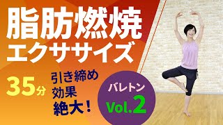 バレトンVol2佐藤佳代ホームフィットネス24 [upl. by Nalym]