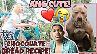 BINILI AKO NI MAHAL NG ASO SOBRANG CUTE NIYA  CHOCOLATE BREAD RECIPE [upl. by Jaret]