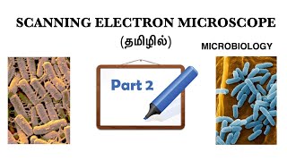 Scanning Electron Microscope SEM Part 2 Working mechanism applications and limitationsTamil [upl. by Eille]