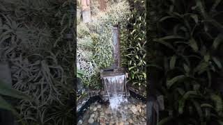 ASMR Cascade Garden Bio Wall amp Cascading Fountain  Longwood Gardens fountain botanicalgarden [upl. by Noteloc]