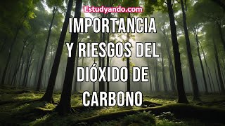 Importancia y riesgos del dióxido de carbono [upl. by God]