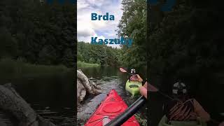 Wodnik Szuwarek  Brda 2  Intro shorts spływy kajaki kayaking kayak watersprite [upl. by Sherrie432]