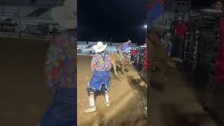 Bull riding nationals at Arrowhead speedway 2024 [upl. by Suter606]