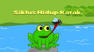 Belajar Siklus Hidup Katak  Tahap Metamorfosis Katak [upl. by Ymot942]