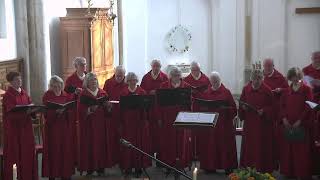 Dienst vanuit de Martinikerk in Doesburg 3 maart 2024 [upl. by Acissey]