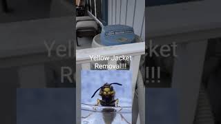 Simple Yellow Jacket Removal [upl. by Ahsat130]