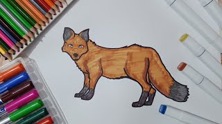 how to draw fox  easy fox drawing step by step howtodraw howtodrawstepbystep fox foxdrawing [upl. by Arica333]