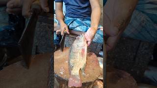 Amazing Tilapia Fish Cutting Skills In Bangladesh Fish Market By Expert Cutter shorts [upl. by Quintana]