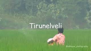 Upcoming Video  Discover the Beauty of Tirunelveli in 60 secs  Indian Birds and Nature [upl. by Audri]