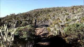 Paysages de lIle de la Réunion au fil du GRR2 et du GRR1  version longue [upl. by Tomkins]