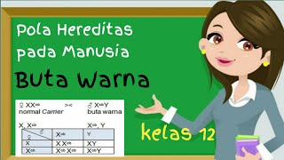 Materi Biologi Buta Warna Kelas 12  Pola Hereditas Manusia [upl. by Milla]