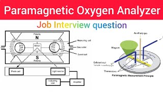 Paramagnetic oxygen Analyzer कैसे काम करता हैं Working principle Dumbbell type Analyzerin Hindi [upl. by Georgetta857]