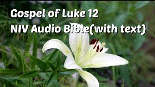 Luke 12 NIV Audio Biblewith text [upl. by Elkraps]