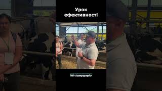 Урок ефективності farming milk cow [upl. by Atires92]