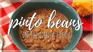 Super easy and quick PINTO BEANS in the NINJA FOODI  Pressure cooker recipes [upl. by Euqinomahs]