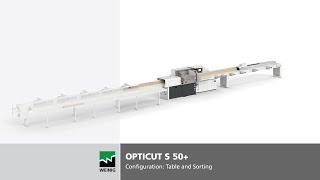 Pushfeed saw OptiCut S 50  Configuration Infeed table with sorting [upl. by Hearn]