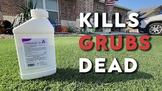 GRUB Control and Prevention in the Lawn [upl. by Emrich]