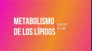 METABOLISMO DE LÍPIDOS En menos de 5 minutos [upl. by Atilrak]