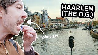 PALING  FONDUE IN BEAUTIFUL HAARLEM 🇳🇱 haarlem travel guide netherlands [upl. by Polinski]