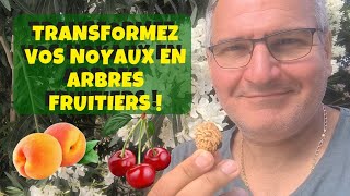 Transformez vos noyaux en arbres fruitiers  🍎🍋🥑 [upl. by Ylro]