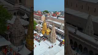 Vishwanath temple varanasi [upl. by Batha]