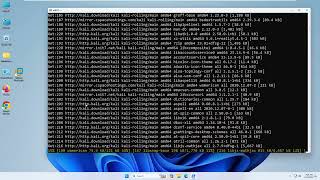 10 Installing Kali on Windows WSL [upl. by Chandra]