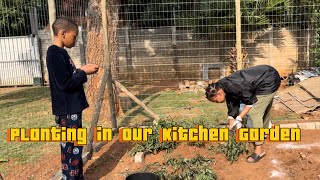 My Husband prepared our Kitchen Garden in our CITY Homestead  Dream Team  Planting [upl. by Willner]