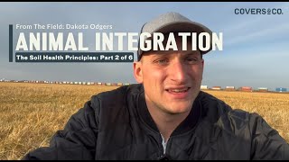 From The Field Soil Health Principles 2 Animal Integration [upl. by Arolf]