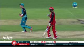 Highlights Heat v Renegades  BBL06 [upl. by Jari]