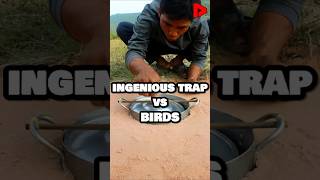 Ingenious Trap vs Birds 🪤🐦 [upl. by Isobel]