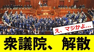 【緊急】石破首相、「衆議院解散」を断行！！ [upl. by Hauck]