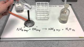 Testing for the ammonium ion [upl. by Icram]