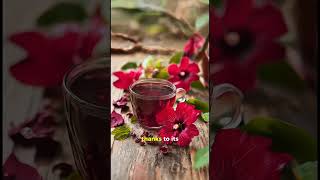 The Secret to Lower Blood Pressure Hibiscus Tea Benefits [upl. by Adnorrehs271]