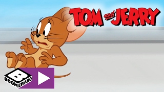 Tom amp Jerry  Rundtur  Boomerang Sverige [upl. by Salem]