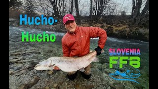 Hucho fishing Slovenia 2024 Teaser [upl. by Cesaria267]