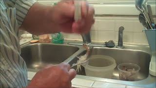 How To Devein Shrimp Using OneStroke Of The Fork No Knife Needed [upl. by Rattan]