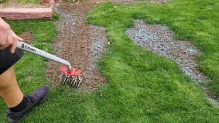 Reseeding Some Bare Spots  DIY Lawn Guy [upl. by Notwen]